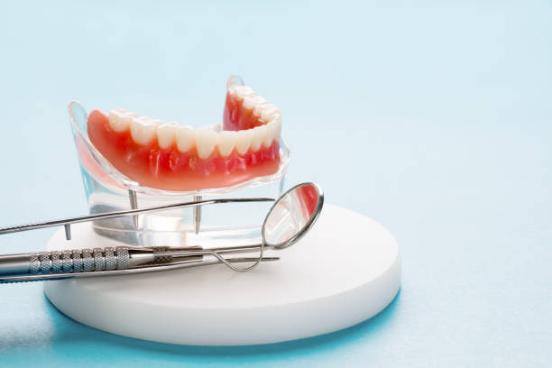 Best Pediatric Dentistry  in Poynette, WI